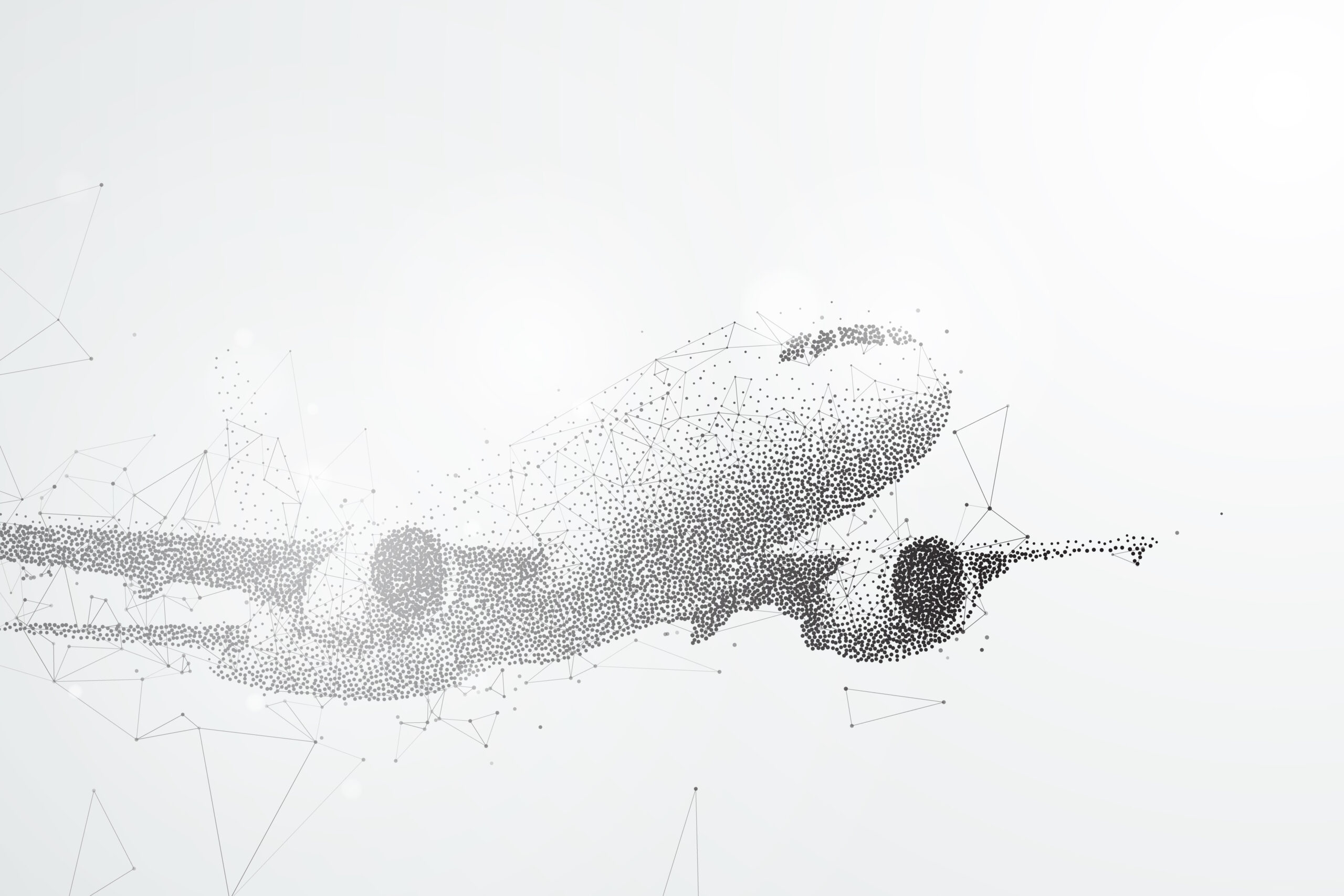 Commercial aircraft representing 32 years of AIRO Industries experience